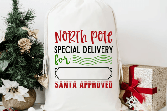 North Pole Special Delivery Santa Sack